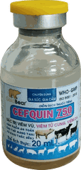 Rx-CEFQUIN 750 (20 ML/LỌ)-Thuốc kê đơn