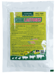 GAVA LACTOGEN (100 G/GÓI)