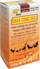 GAVA TONIC 503 (5 ML/LỌ) Nhãn cam