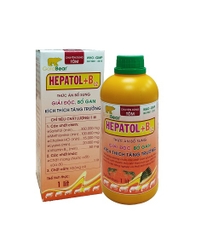 HEPATOL+B12 (1 LÍT/CAN) TÔM