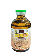 SUPER B12 5000 (50 ML/LỌ)