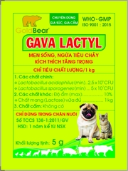 GAVA LACTYL (5 G/GÓI)