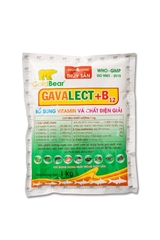 GAVALECT B12 (1 KG/GÓI)