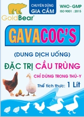 GAVACOC'S 1LÍT/CAN