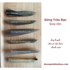 SỪNG TRÂU BẠC SIZE XL DÀI 13-15CM