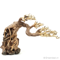 Bonsai Driftwood GH-BSR/02
