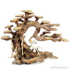 Bonsai Driftwood GH-BS/02