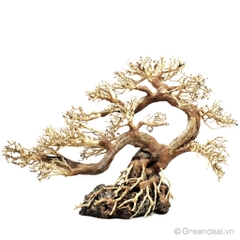Bonsai Driftwood GH-BSR/06