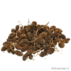 Alder Cones (Erlenzapfen)