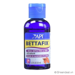 API - Bettafix