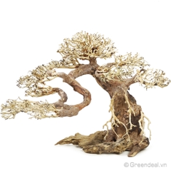 Bonsai Driftwood GH-BS/11