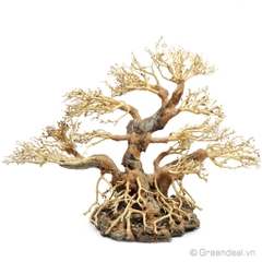 Bonsai Driftwood GH-BSR/05