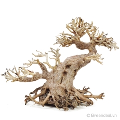 Bonsai Driftwood GH-BSR/23