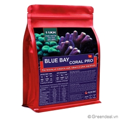 BLUE BAY - Salt Pro