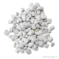 GREEN AQUA - PearlBacter-Basic