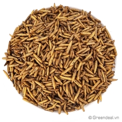 GREEN AQUA - Dried Calci-Worms