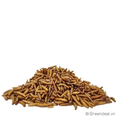 GREEN AQUA - Dried Calci-Worms
