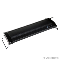 ODYSSEA - Dual Pro T5HO (50/65 cm)