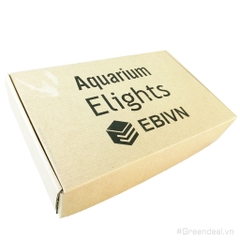 EBI VN - Elights Aquarium