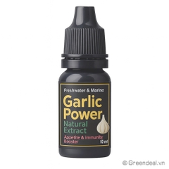 GREEN AQUA - GarlicPower