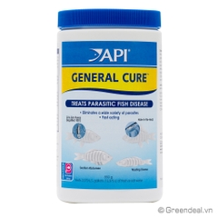 API - General Cure