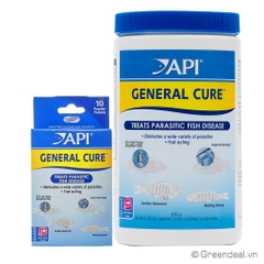 API - General Cure