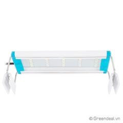 KAOKUI - LED Light Aquarium