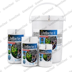 LOVEFISH - LifeBacter X
