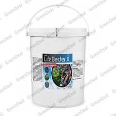 LOVEFISH - LifeBacter X