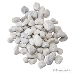 GREEN AQUA - PearlBacter-Basic