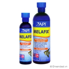API - Melafix
