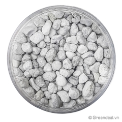 GREEN AQUA - PearlBacter-S