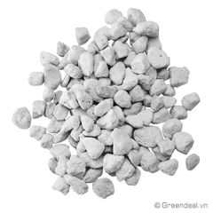 GREEN AQUA - PearlBacter-S