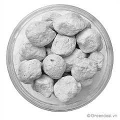 GREEN AQUA - PearlBacter-L