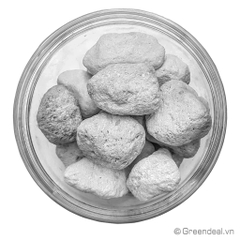 GREEN AQUA - PearlBacter-XL