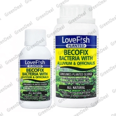 LOVEFISH - Planted Becofix