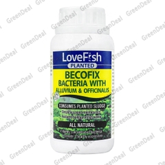 LOVEFISH - Planted Becofix