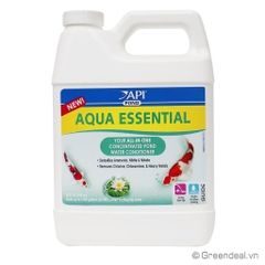 API - Pond Aqua Essential
