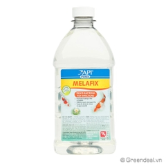 API - Pond Melafix