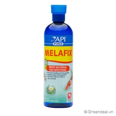 API - Pond Melafix