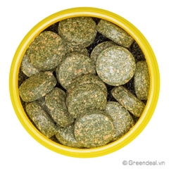 JBL ProNovo - Botia Tab M