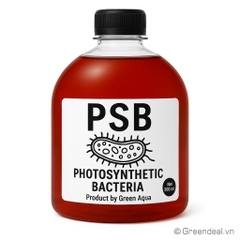 GREEN AQUA - PSB