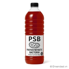 GREEN AQUA - PSB
