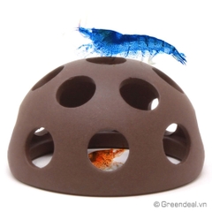 AQUAVITRO - Shrimp Dome