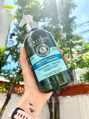 Dầu gội và dầu xả L'occitane Fraicheur Purifiante Purifying Freshness