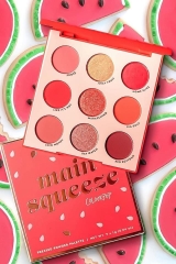 Bảng phấn  mắt Colourpop main squeeze