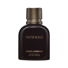 Nước hoa nam intenso dolce gabbana pour homme edp