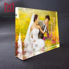 Biểu Trưng Pha Lê 2425