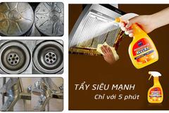 Chai dung dịch tẩy vết bẩn siêu mạnh Daichi 400ml