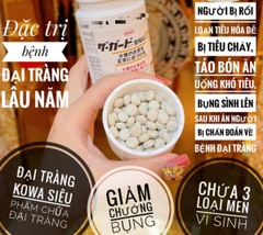 Viên uống bồi bổ đại tràng Kowa The Guard 550 viên
